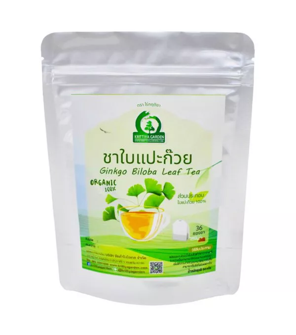 ชาใบแปะก๊วย Ginkgo Biloba Leaf Tea