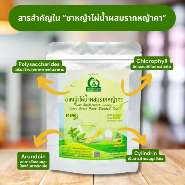 สารสำคัญในชาหญ้าไผ่น้ำผสมรากหญ้าคา