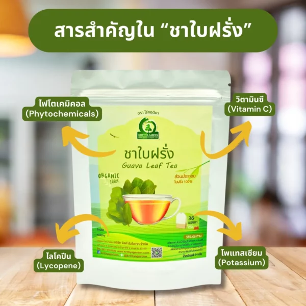 สารสำคัญในชาใบฝรั่ง