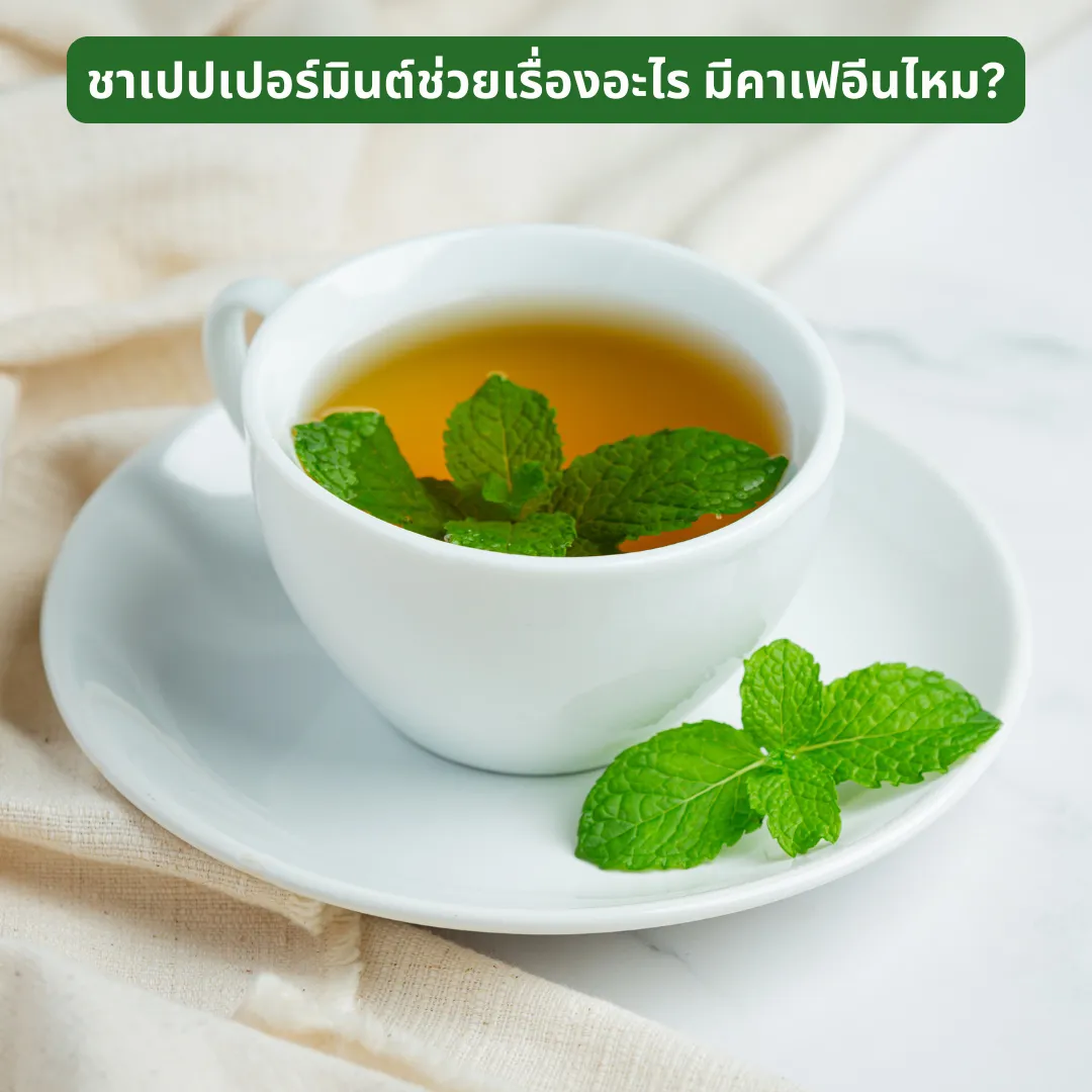 ชาเปปเปอร์มินต์ช่วยเรื่องอะไร มีคาเฟอีนไหม